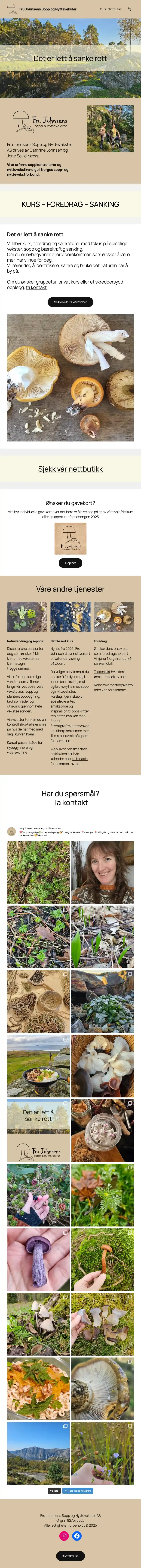 Screenshot of Merchandizer