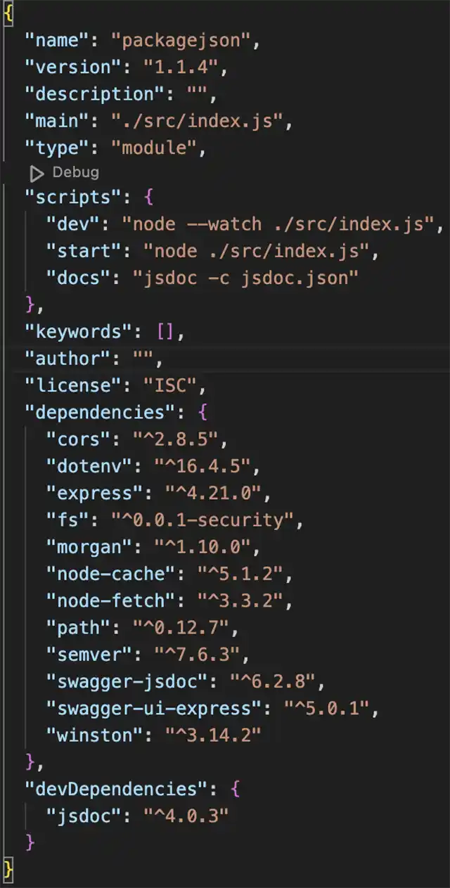 Screenshot of Package.json